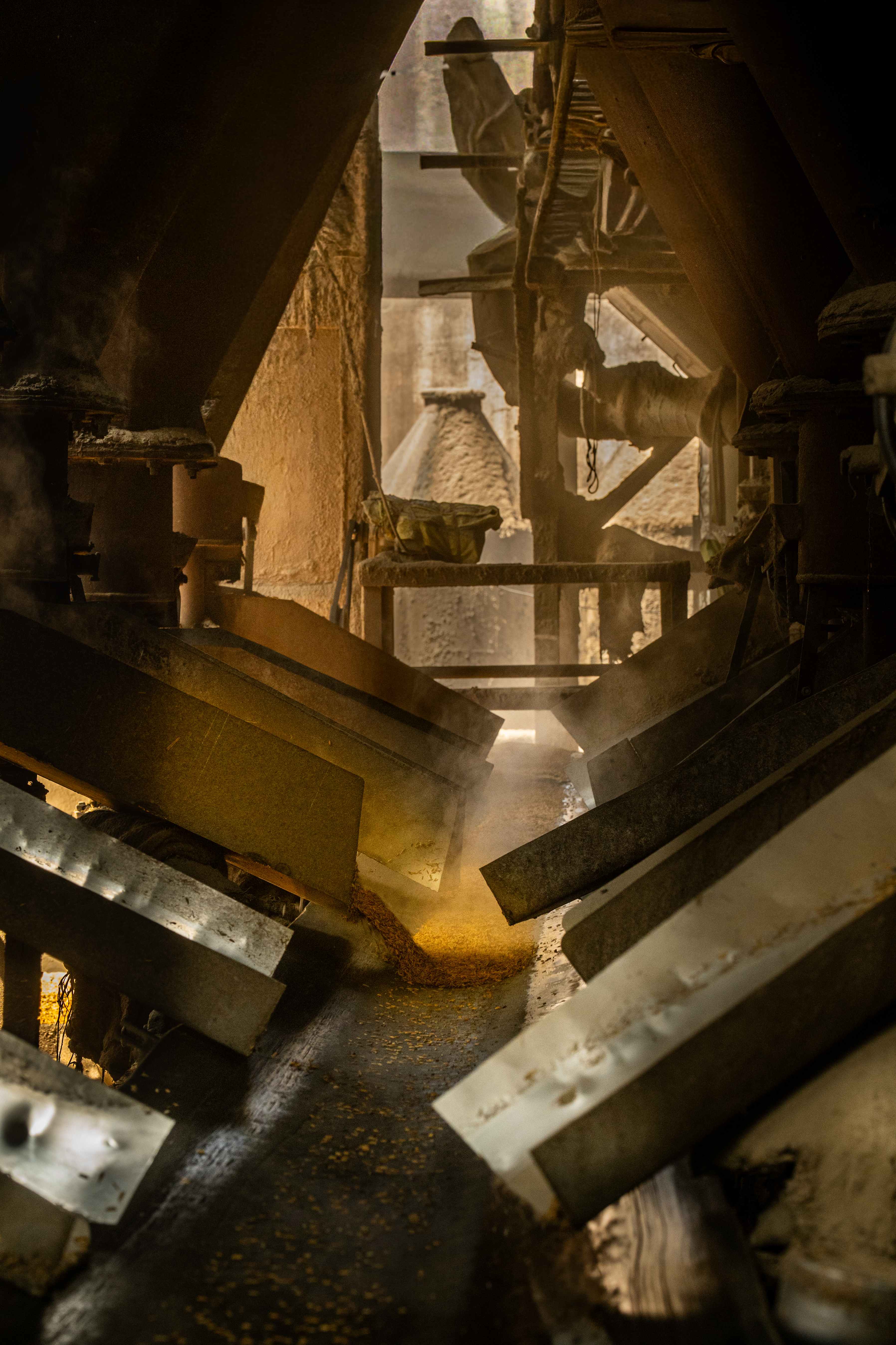 Rice processing at Ambikah mill